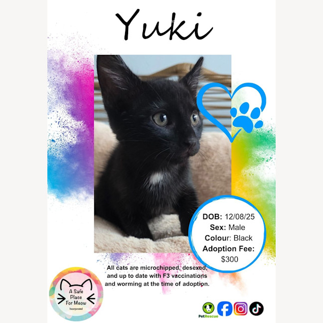 Photo of Yuki