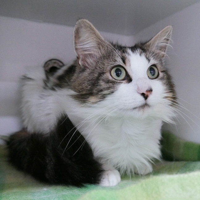 Photo of Connor Sta013091