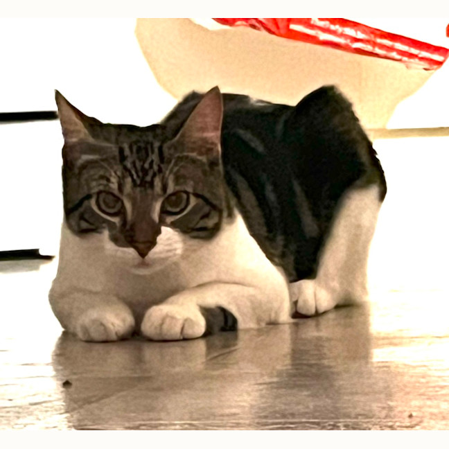 Photo of Christopher 