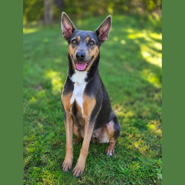 Photo of Daisy