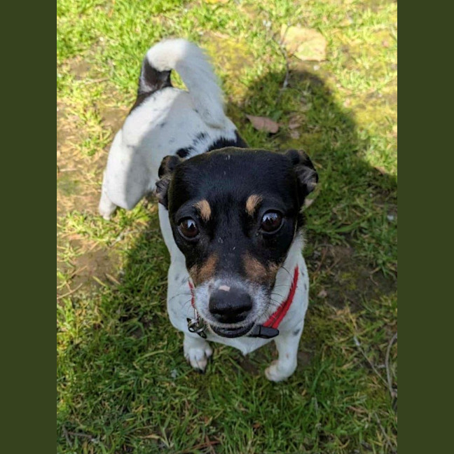 Photo of Mabel Uffelman  