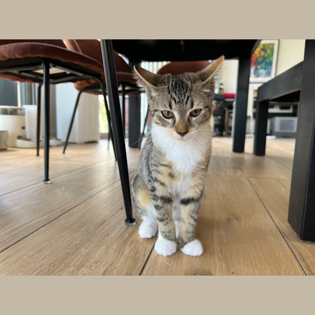 Photo of Molly