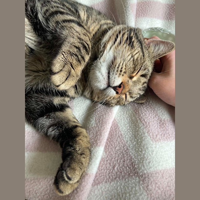 Photo of Ted