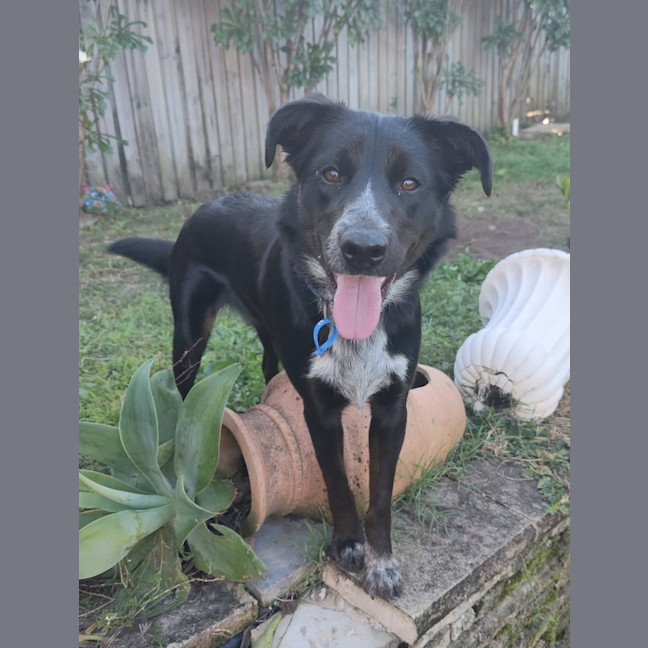 Photo of Betty