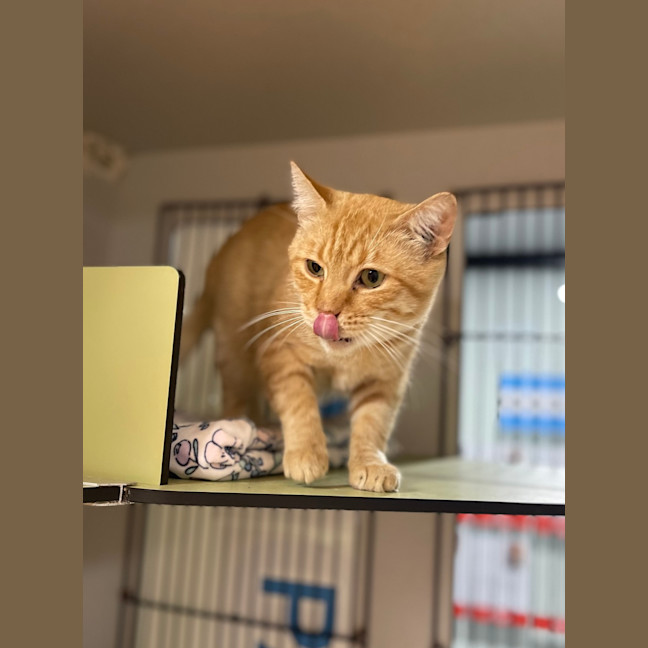Photo of Bmo