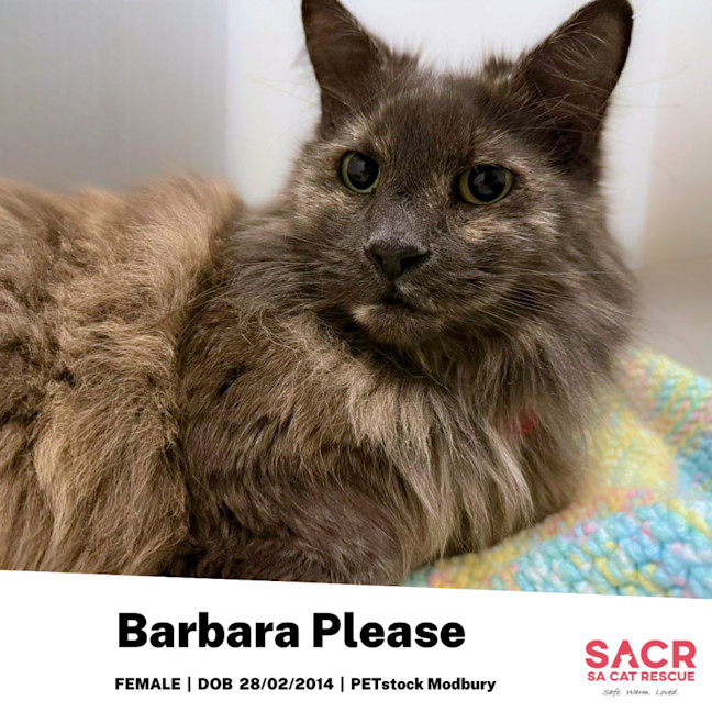 Photo of Barbara Please