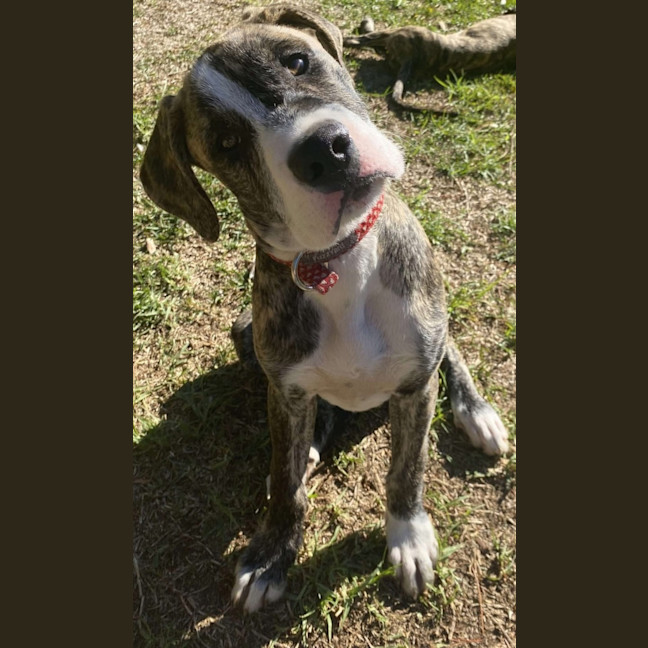 Photo of Ares