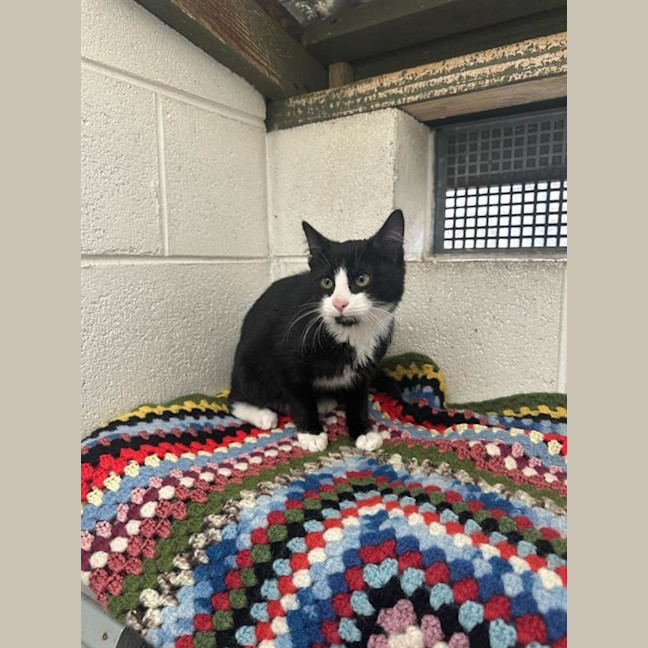 Photo of Tux