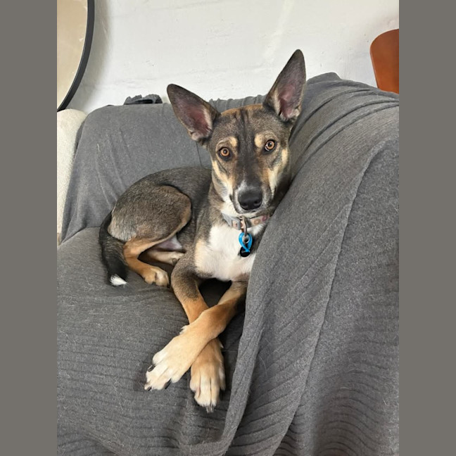Photo of Max