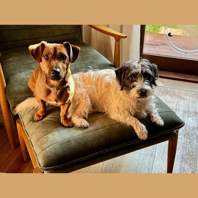 Photo of Bean And Dunkin Russelton