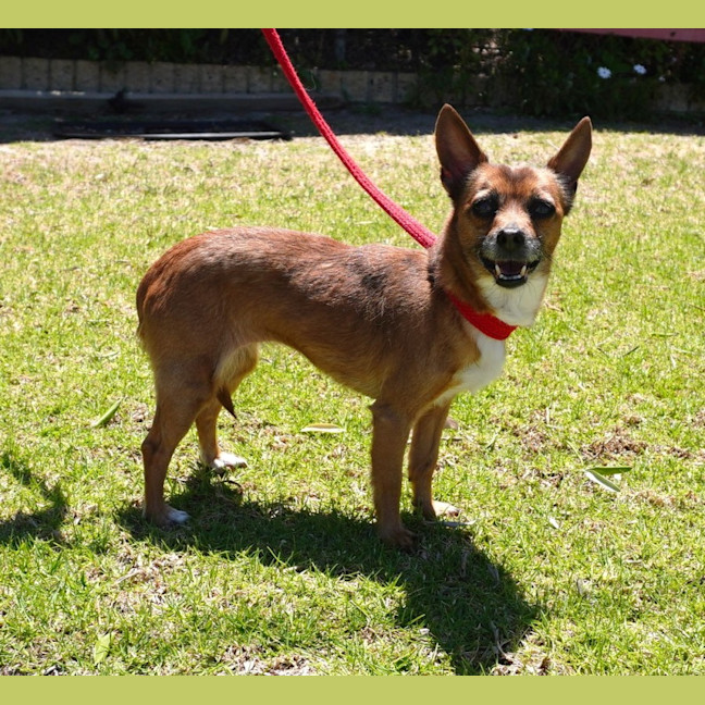 Photo of Bella