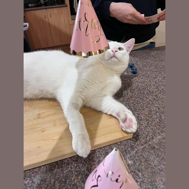 Photo of Ice