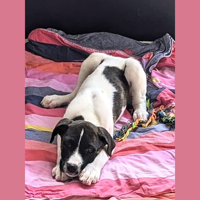 Photo of Winnie