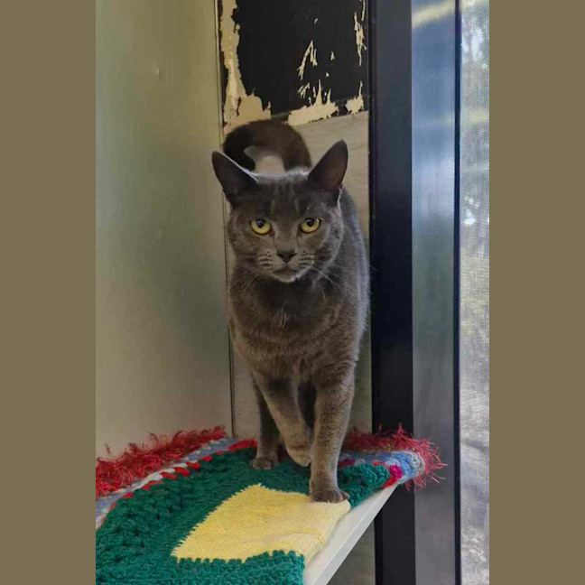 Photo of Profiterole