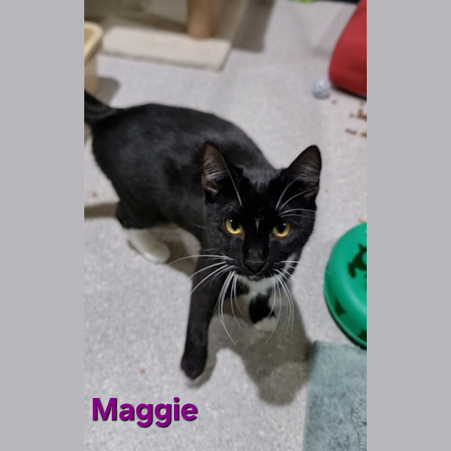 Photo of Maggie
