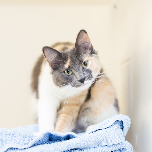 Photo of Tammy