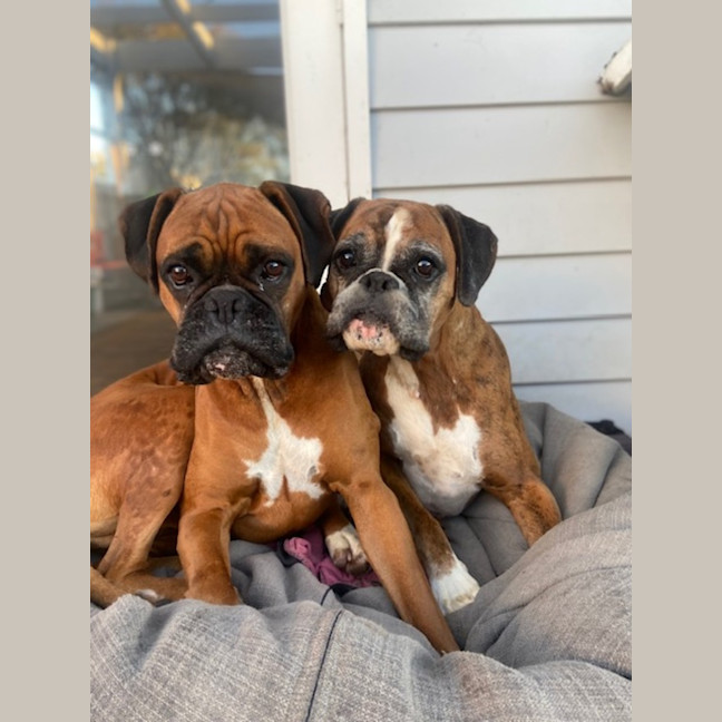 Photo of Lloyd And Harry