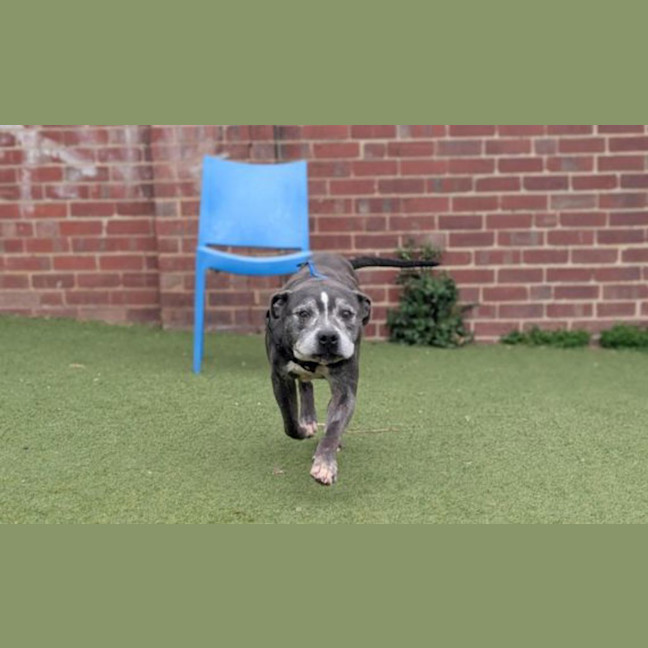 Photo of Unit