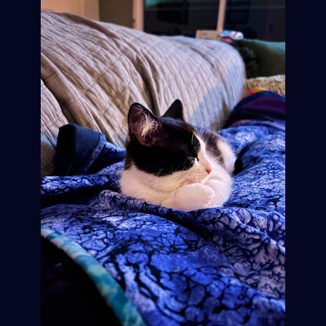 Photo of Holly