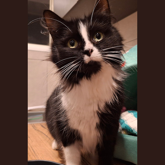 Photo of Delores