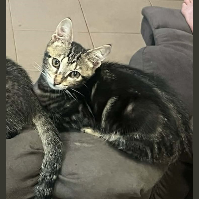 Photo of Trujillo (Trudy)