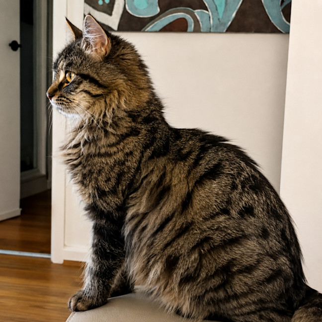 Photo of Jasper