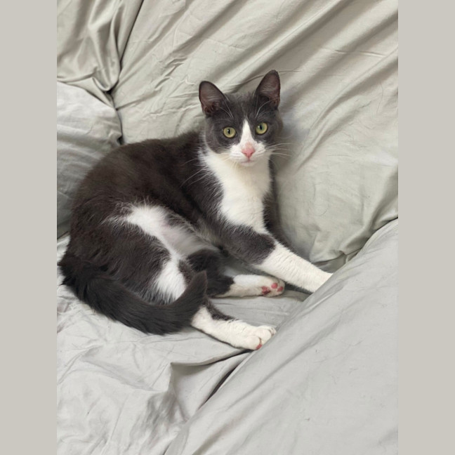 Photo of Storm (9173)