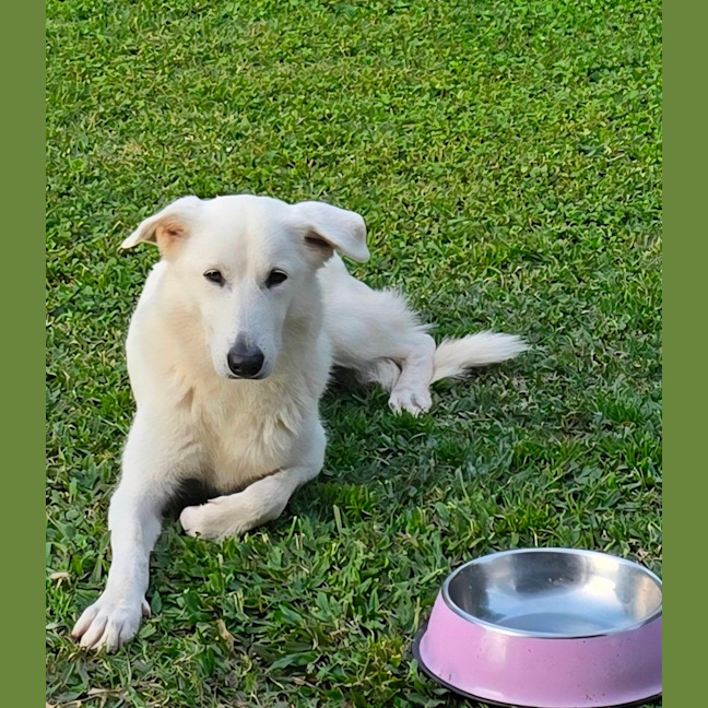 Photo of Freyja