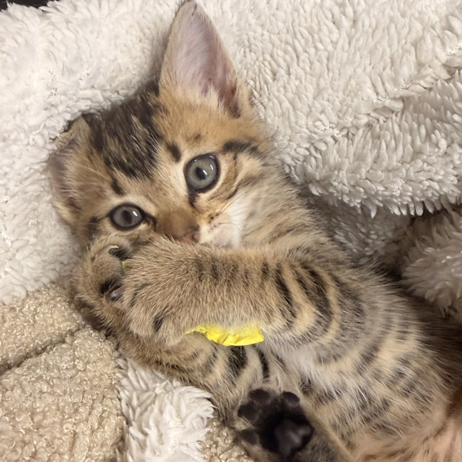 Photo of Milly