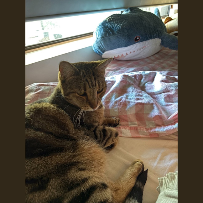 Photo of Coco