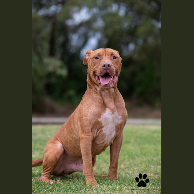 Photo of Bronx