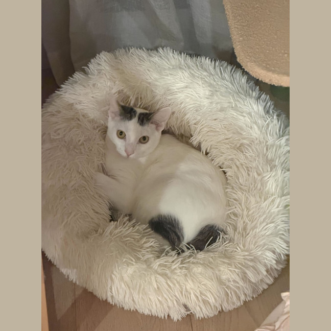Photo of Agatha
