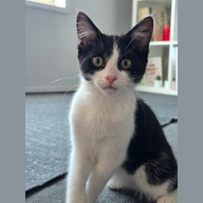 Photo of Penelope