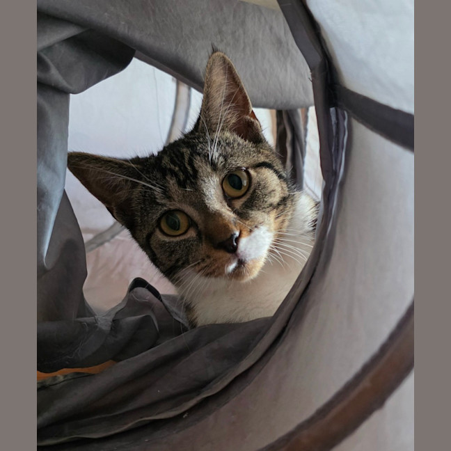 Photo of Betty