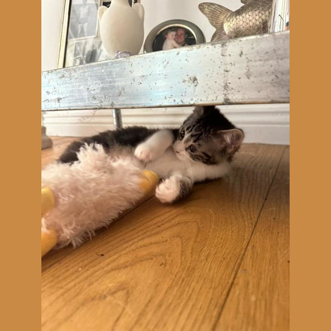 Photo of Eli