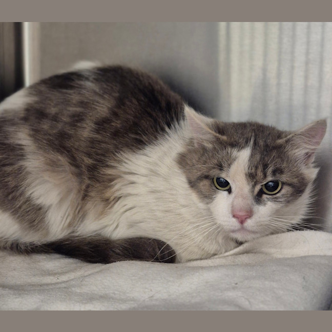 Photo of Doc  Martin