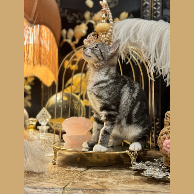Photo of Fleur