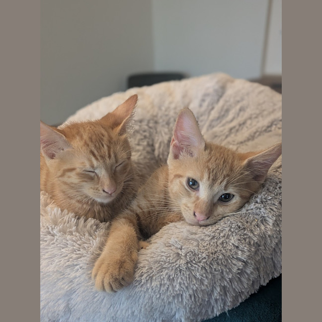 Photo of Fred & George (Aka Quentin & Quigley)