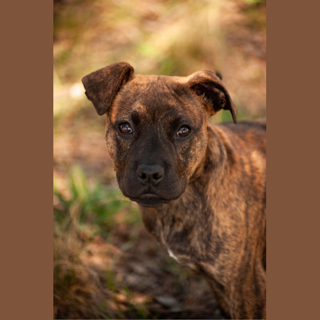 Photo of Star