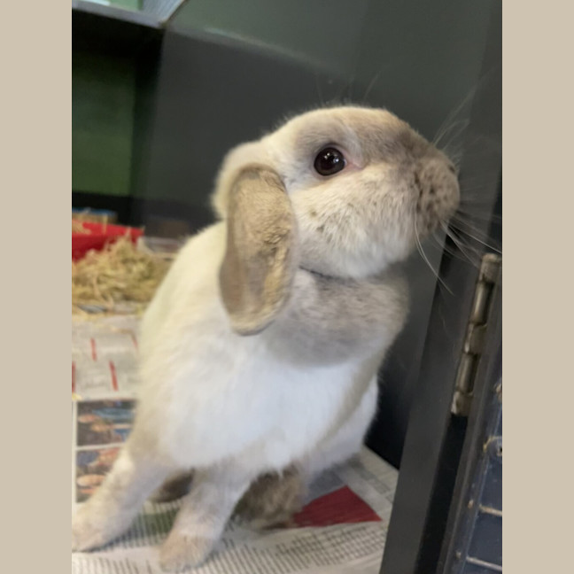 Photo of Wednesday