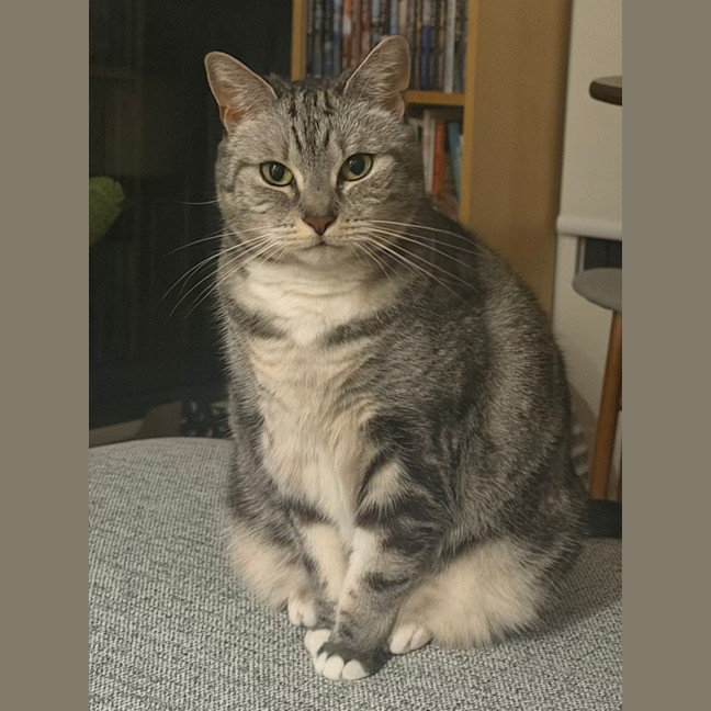 Photo of Sadie