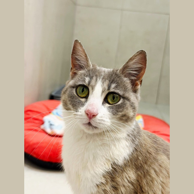 Photo of Thumbelina