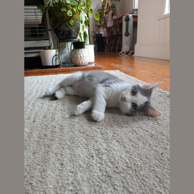 Photo of Charlotte