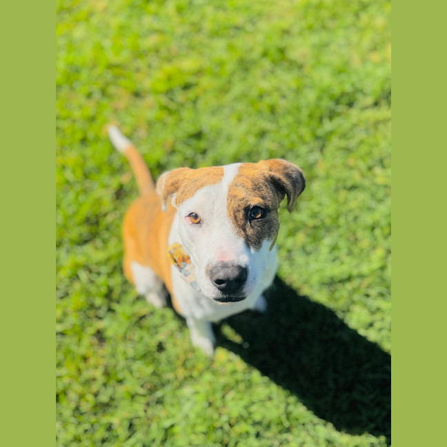 Photo of Addie