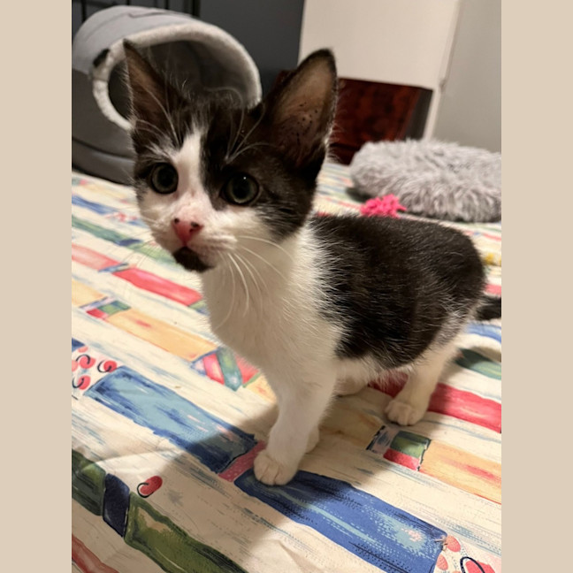 Photo of Adelina & Flora