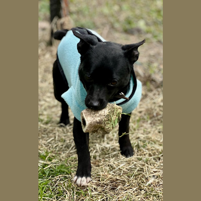 Photo of Scott (Turbo)