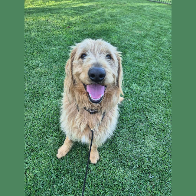 Photo of Charlie