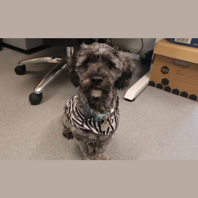 Photo of Murphy