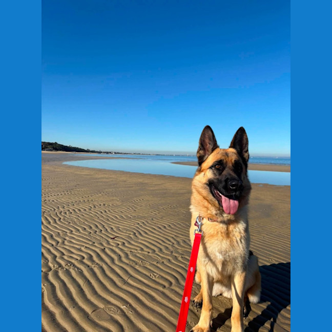 Photo of Nymeria