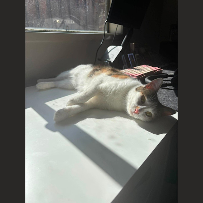 Photo of Jazz